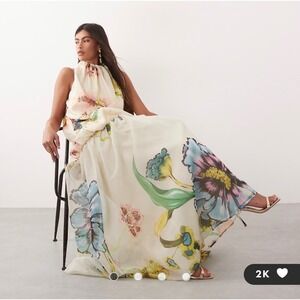 ASOS ARRANGE Organza Maxi Dress – Botanical Floral Print – Women's Size 4 – NWT